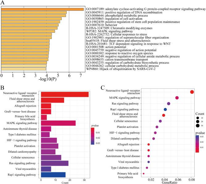 https://cdn.ncbi.nlm.nih.gov/pmc/blobs/0315/11153514/c4b6d2f35d54/41598_2024_63433_Fig7_HTML.jpg
