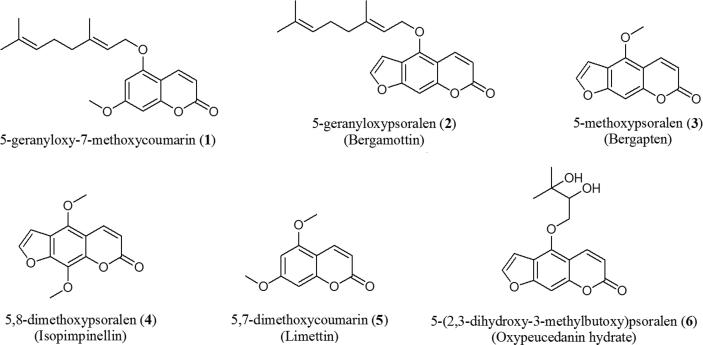 https://cdn.ncbi.nlm.nih.gov/pmc/blobs/0316/6582165/884e8fbbf4f9/gr3.jpg