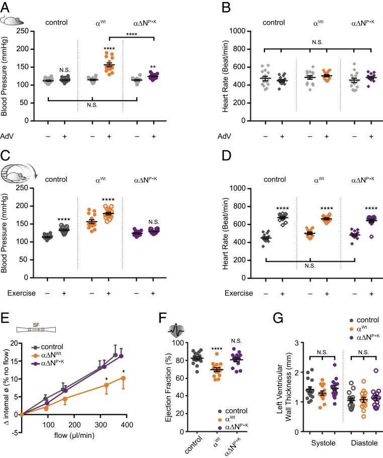 https://cdn.ncbi.nlm.nih.gov/pmc/blobs/0316/6955349/804e1a84388a/pnas.1911243117fig05.jpg