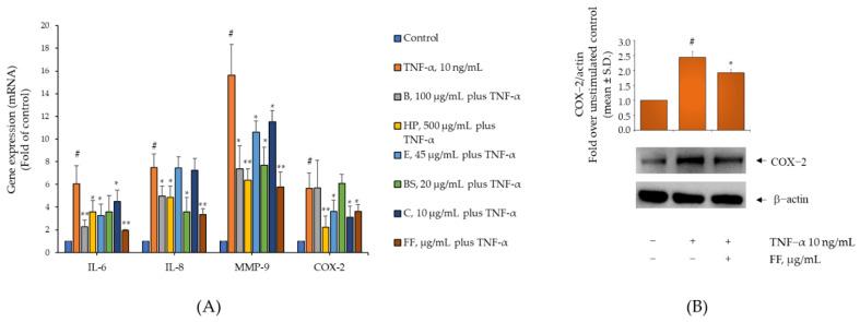 https://cdn.ncbi.nlm.nih.gov/pmc/blobs/0316/9609228/82811d4ebde5/pharmaceuticals-15-01263-g002.jpg