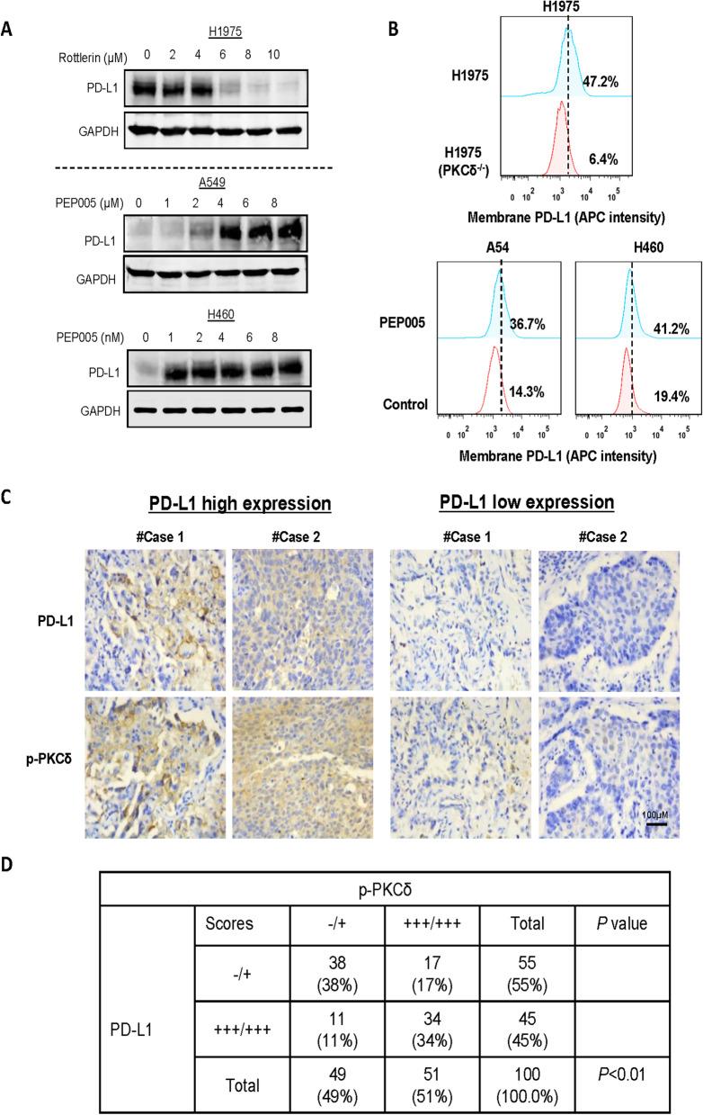 https://cdn.ncbi.nlm.nih.gov/pmc/blobs/0316/9733210/45659bfac26c/12916_2022_2670_Fig4_HTML.jpg