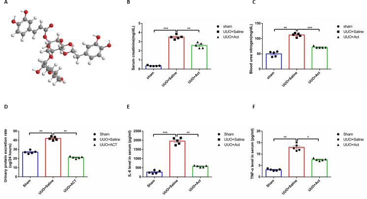 https://cdn.ncbi.nlm.nih.gov/pmc/blobs/0316/9864189/5e1c62863a90/peerj-11-14765-g001.jpg