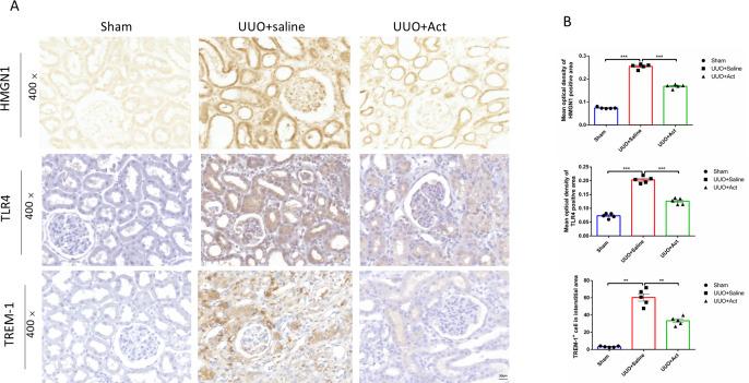 https://cdn.ncbi.nlm.nih.gov/pmc/blobs/0316/9864189/c44214e8cd2d/peerj-11-14765-g004.jpg