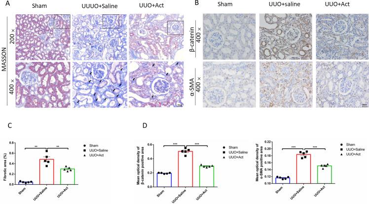 https://cdn.ncbi.nlm.nih.gov/pmc/blobs/0316/9864189/e51d743b1e3a/peerj-11-14765-g003.jpg