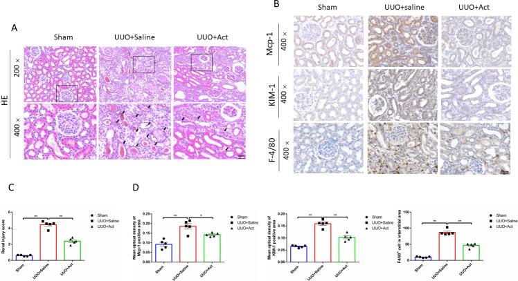 https://cdn.ncbi.nlm.nih.gov/pmc/blobs/0316/9864189/ff07cd1d1306/peerj-11-14765-g002.jpg
