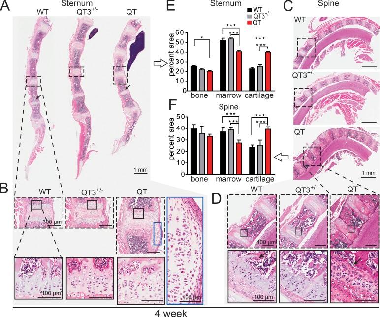 https://cdn.ncbi.nlm.nih.gov/pmc/blobs/0317/6719459/0d7c1240c99e/JCB_201906059_Fig4.jpg
