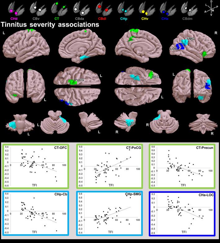 https://cdn.ncbi.nlm.nih.gov/pmc/blobs/0317/8720198/c7723a5dbf1b/HBM-43-633-g005.jpg