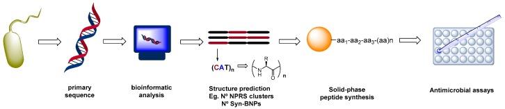 https://cdn.ncbi.nlm.nih.gov/pmc/blobs/0318/6017364/97713dc7ebef/molecules-23-00311-sch002.jpg
