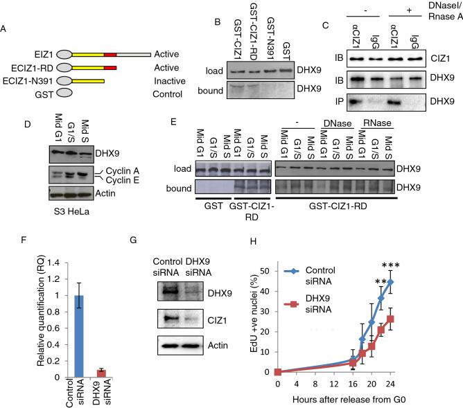 https://cdn.ncbi.nlm.nih.gov/pmc/blobs/0318/7582970/1f626f844c52/41598_2020_75160_Fig2_HTML.jpg