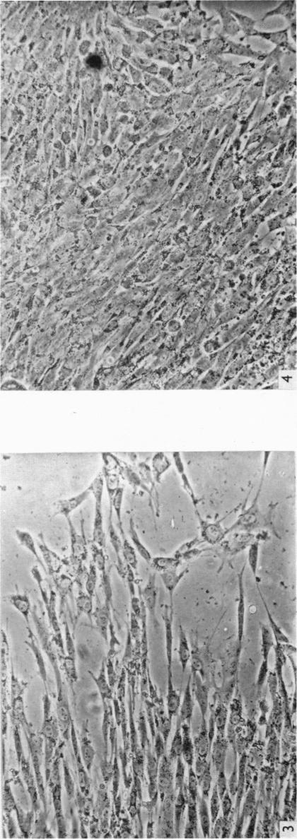 https://cdn.ncbi.nlm.nih.gov/pmc/blobs/0319/1244090/46ce8e8d547d/janat00433-0060-b.jpg