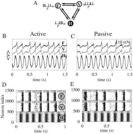 https://cdn.ncbi.nlm.nih.gov/pmc/blobs/031b/3050931/324a28644877/pone.0017756.g002.jpg