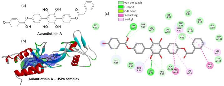 https://cdn.ncbi.nlm.nih.gov/pmc/blobs/031b/9505430/42a4bc826221/molecules-27-05909-g007.jpg