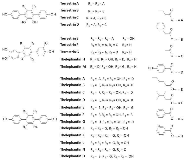 https://cdn.ncbi.nlm.nih.gov/pmc/blobs/031b/9505430/902887bfe7df/molecules-27-05909-g004.jpg