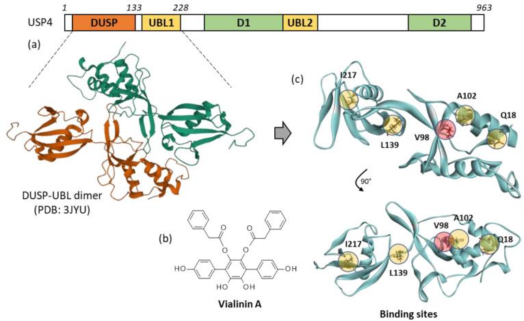 https://cdn.ncbi.nlm.nih.gov/pmc/blobs/031b/9505430/961d9d1edfbf/molecules-27-05909-g001.jpg