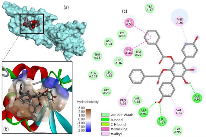 https://cdn.ncbi.nlm.nih.gov/pmc/blobs/031b/9505430/a143b67ea770/molecules-27-05909-g002.jpg