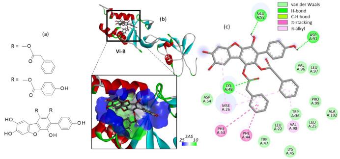 https://cdn.ncbi.nlm.nih.gov/pmc/blobs/031b/9505430/afa58b7b6f17/molecules-27-05909-g003.jpg