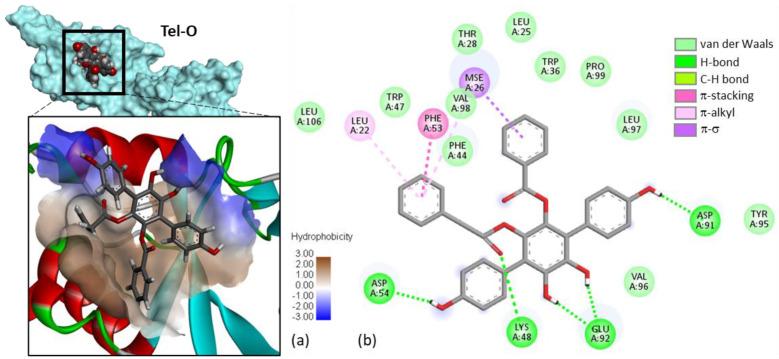 https://cdn.ncbi.nlm.nih.gov/pmc/blobs/031b/9505430/d90a066a5754/molecules-27-05909-g005.jpg