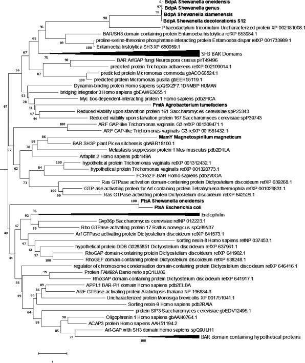 https://cdn.ncbi.nlm.nih.gov/pmc/blobs/031f/8687657/adb680389f10/elife-60049-fig5.jpg