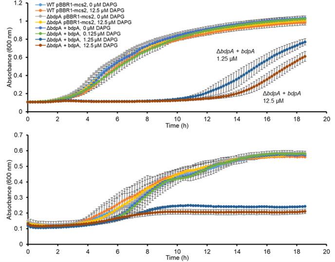https://cdn.ncbi.nlm.nih.gov/pmc/blobs/031f/8687657/bbc843406d01/elife-60049-fig2-figsupp1.jpg