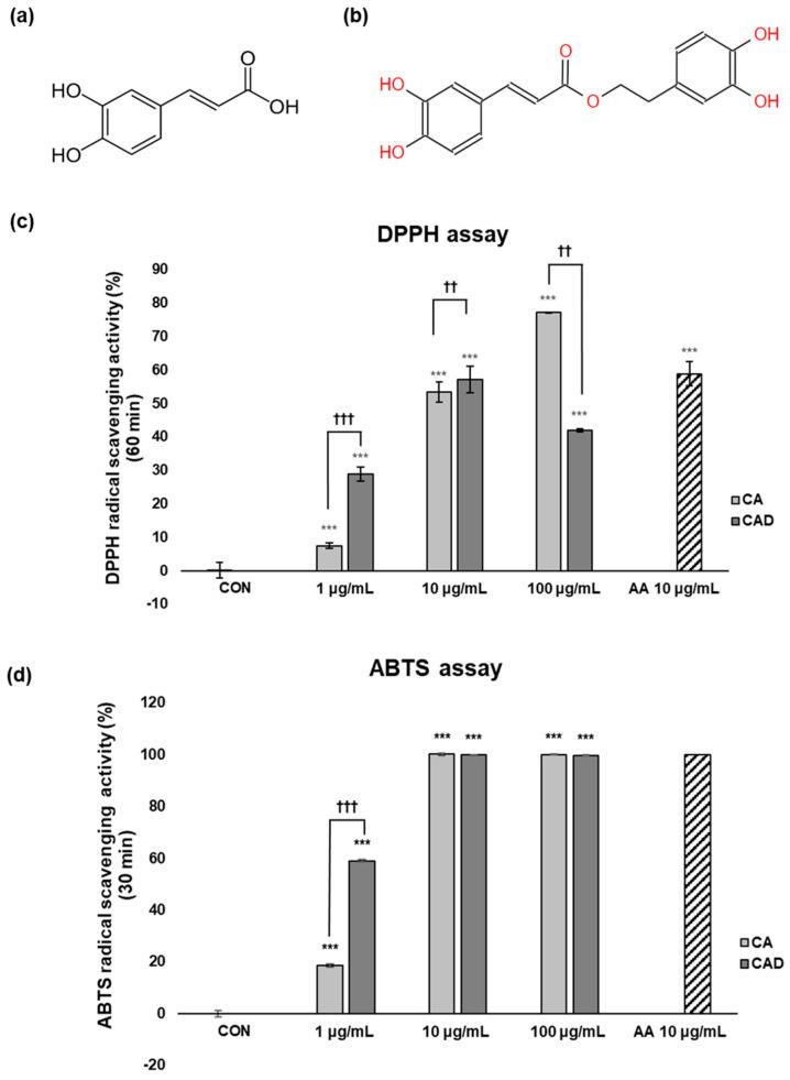 https://cdn.ncbi.nlm.nih.gov/pmc/blobs/0321/12291847/0648db054756/antioxidants-14-00806-g001.jpg