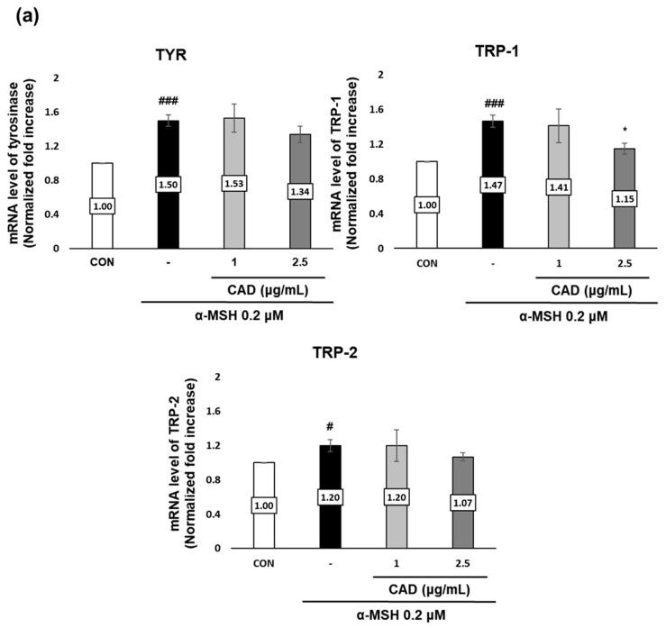 https://cdn.ncbi.nlm.nih.gov/pmc/blobs/0321/12291847/49c629a33122/antioxidants-14-00806-g004a.jpg