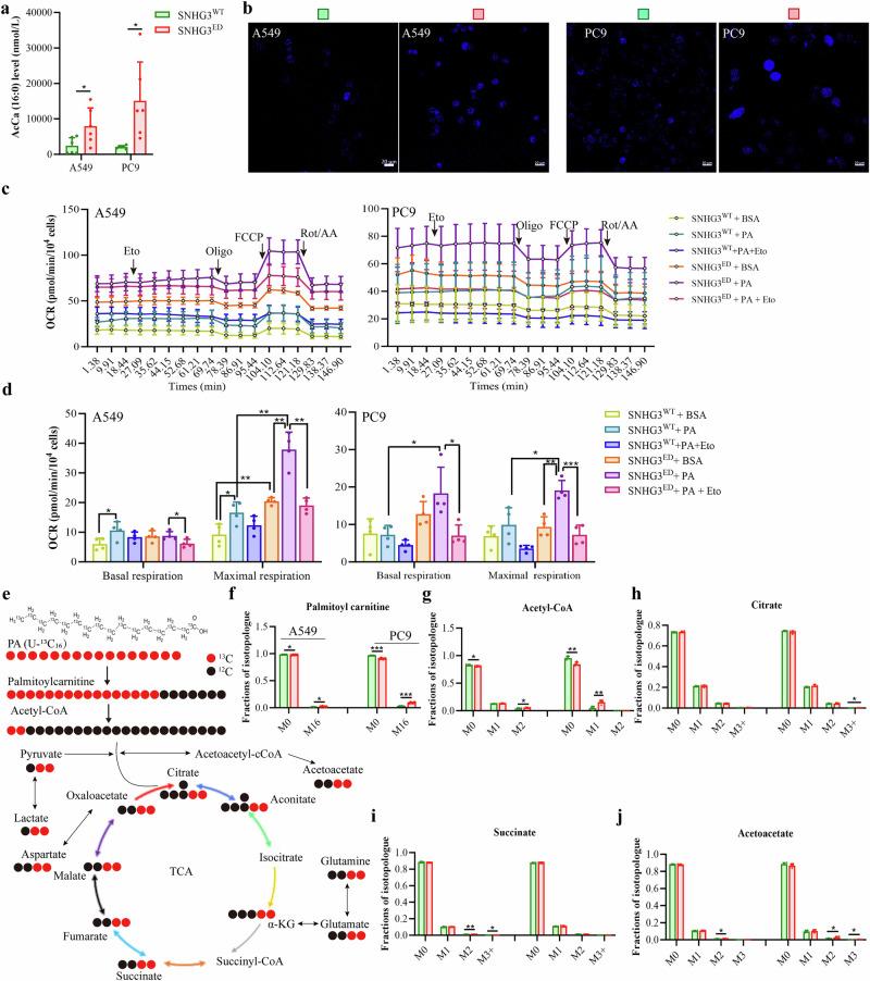 https://cdn.ncbi.nlm.nih.gov/pmc/blobs/0321/12405545/16fbe477c972/42003_2025_8776_Fig4_HTML.jpg