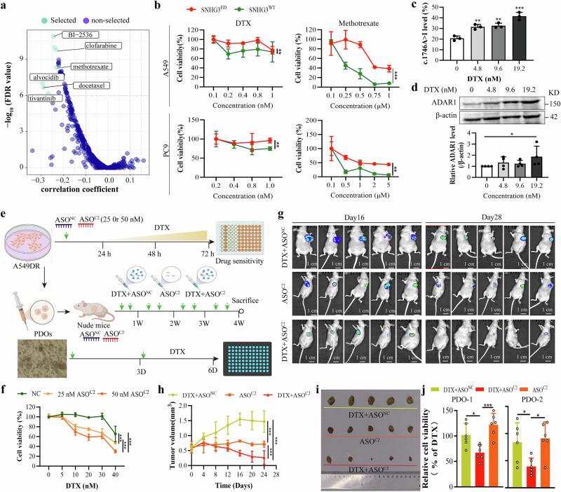 https://cdn.ncbi.nlm.nih.gov/pmc/blobs/0321/12405545/17c49d9b9a49/42003_2025_8776_Fig7_HTML.jpg