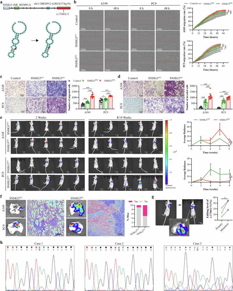 https://cdn.ncbi.nlm.nih.gov/pmc/blobs/0321/12405545/66a0ccb58374/42003_2025_8776_Fig2_HTML.jpg