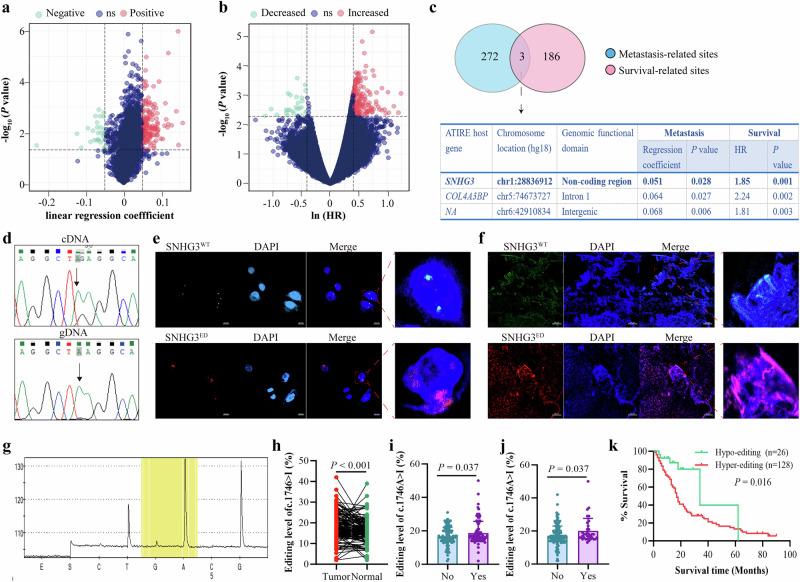 https://cdn.ncbi.nlm.nih.gov/pmc/blobs/0321/12405545/c8b67b200073/42003_2025_8776_Fig1_HTML.jpg