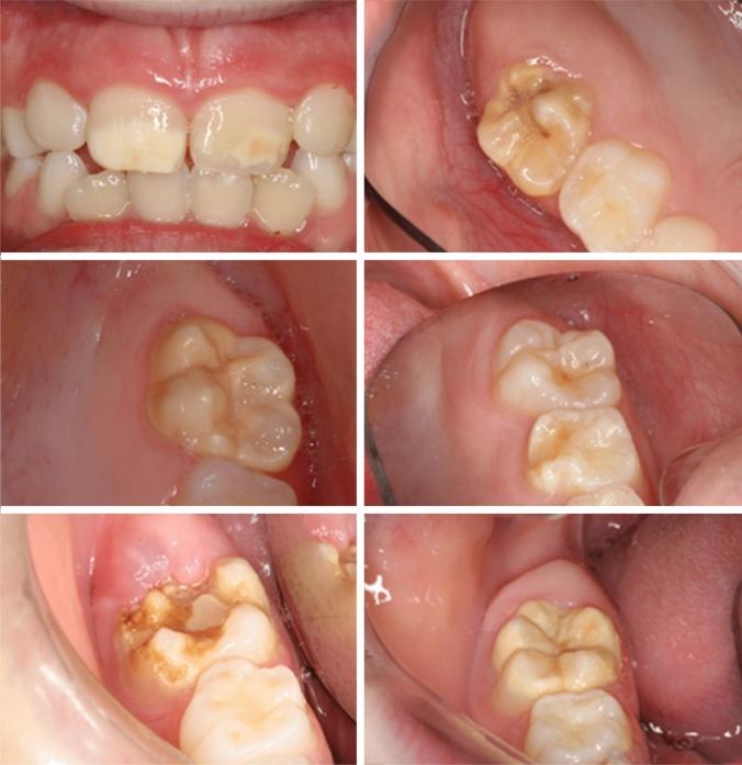https://cdn.ncbi.nlm.nih.gov/pmc/blobs/0321/8526464/47b0f3cce30b/40368_2021_649_Fig1_HTML.jpg