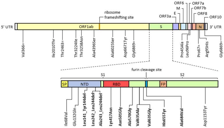 https://cdn.ncbi.nlm.nih.gov/pmc/blobs/0321/9962589/5e2d090f52d9/viruses-15-00291-g001.jpg