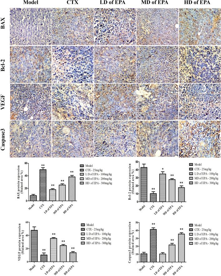 https://cdn.ncbi.nlm.nih.gov/pmc/blobs/0322/9124200/28a5fcc9f07d/41598_2022_11041_Fig5_HTML.jpg