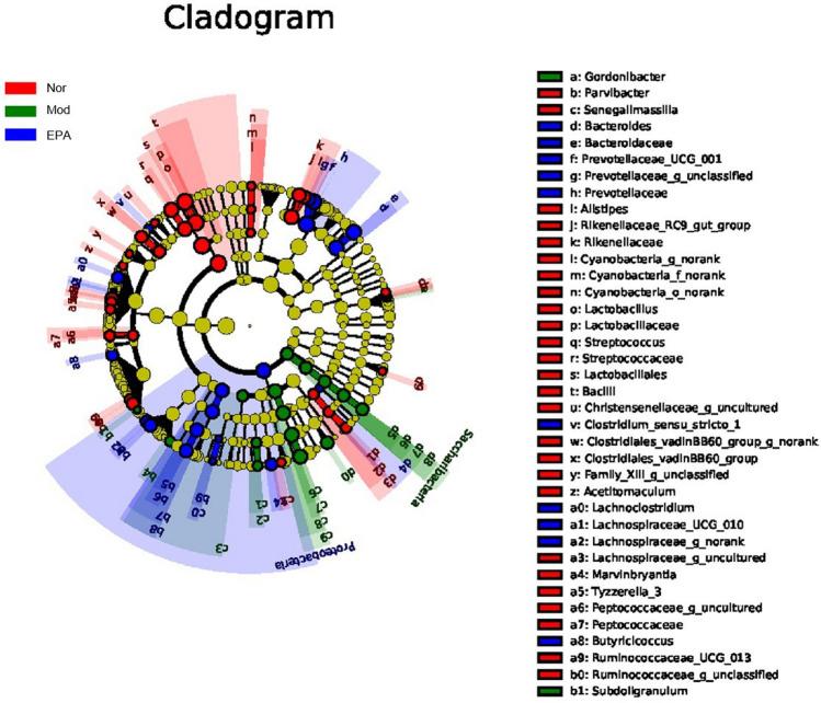 https://cdn.ncbi.nlm.nih.gov/pmc/blobs/0322/9124200/4072ee9b8f94/41598_2022_11041_Fig14_HTML.jpg