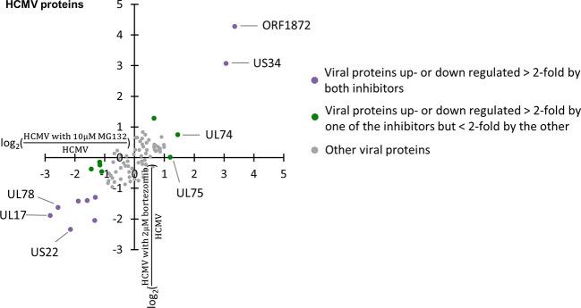 https://cdn.ncbi.nlm.nih.gov/pmc/blobs/0324/7873559/404d5077205d/fcimb-10-578259-g004.jpg