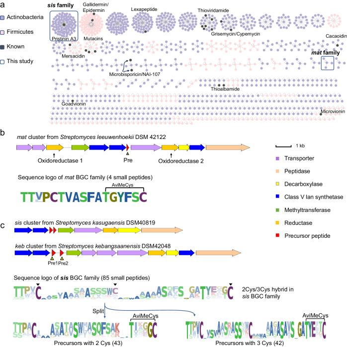 https://cdn.ncbi.nlm.nih.gov/pmc/blobs/0326/11162475/6fe6b86a163e/41467_2024_49215_Fig2_HTML.jpg