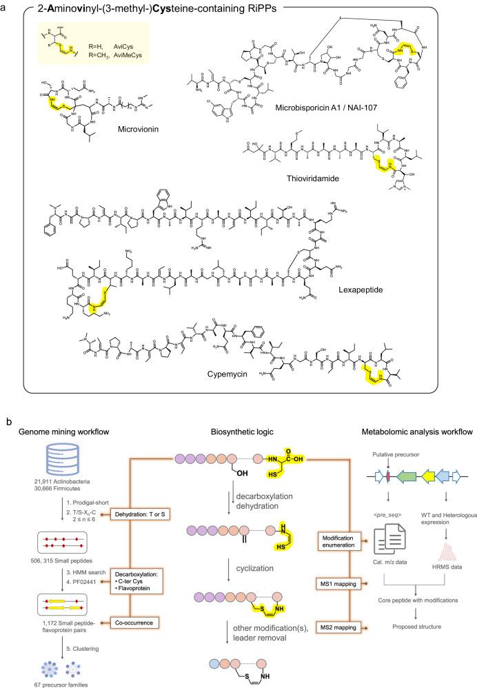 https://cdn.ncbi.nlm.nih.gov/pmc/blobs/0326/11162475/f4196bd6bd7e/41467_2024_49215_Fig1_HTML.jpg