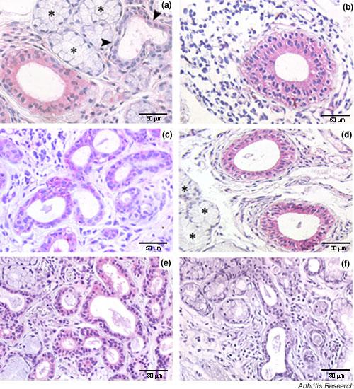 https://cdn.ncbi.nlm.nih.gov/pmc/blobs/0326/546280/51ae01a87666/ar1209-3.jpg