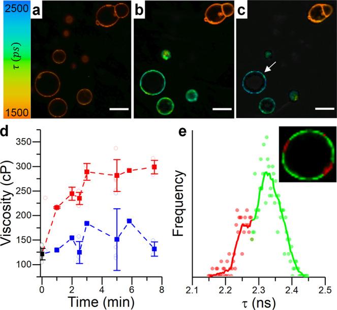 https://cdn.ncbi.nlm.nih.gov/pmc/blobs/032a/9845225/2f4f2a138ea2/42004_2022_809_Fig3_HTML.jpg