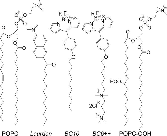 https://cdn.ncbi.nlm.nih.gov/pmc/blobs/032a/9845225/dfde48468fcb/42004_2022_809_Fig1_HTML.jpg