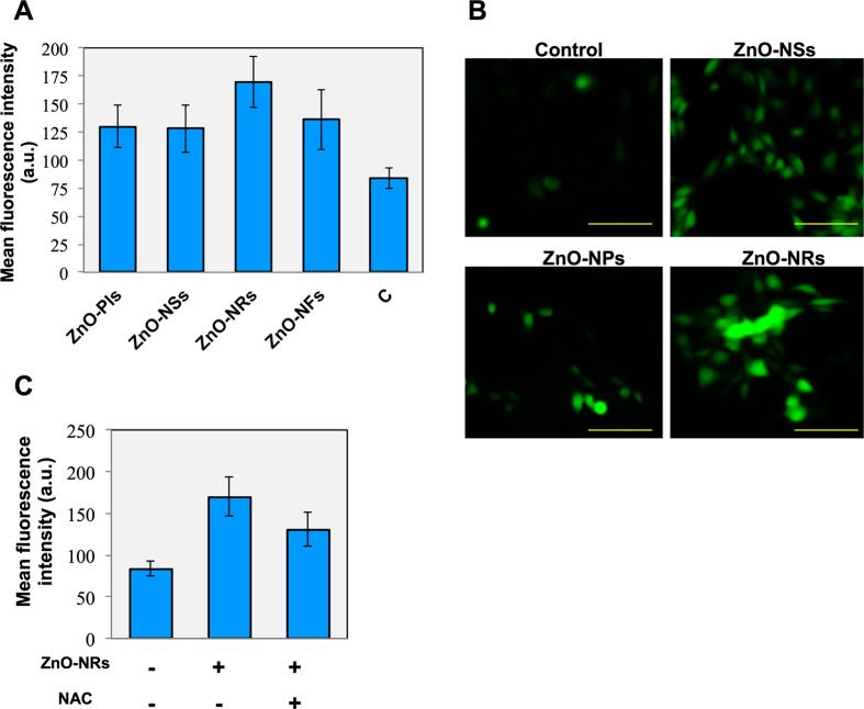 https://cdn.ncbi.nlm.nih.gov/pmc/blobs/032b/4730157/d5127f38cbf6/srep19950-f5.jpg