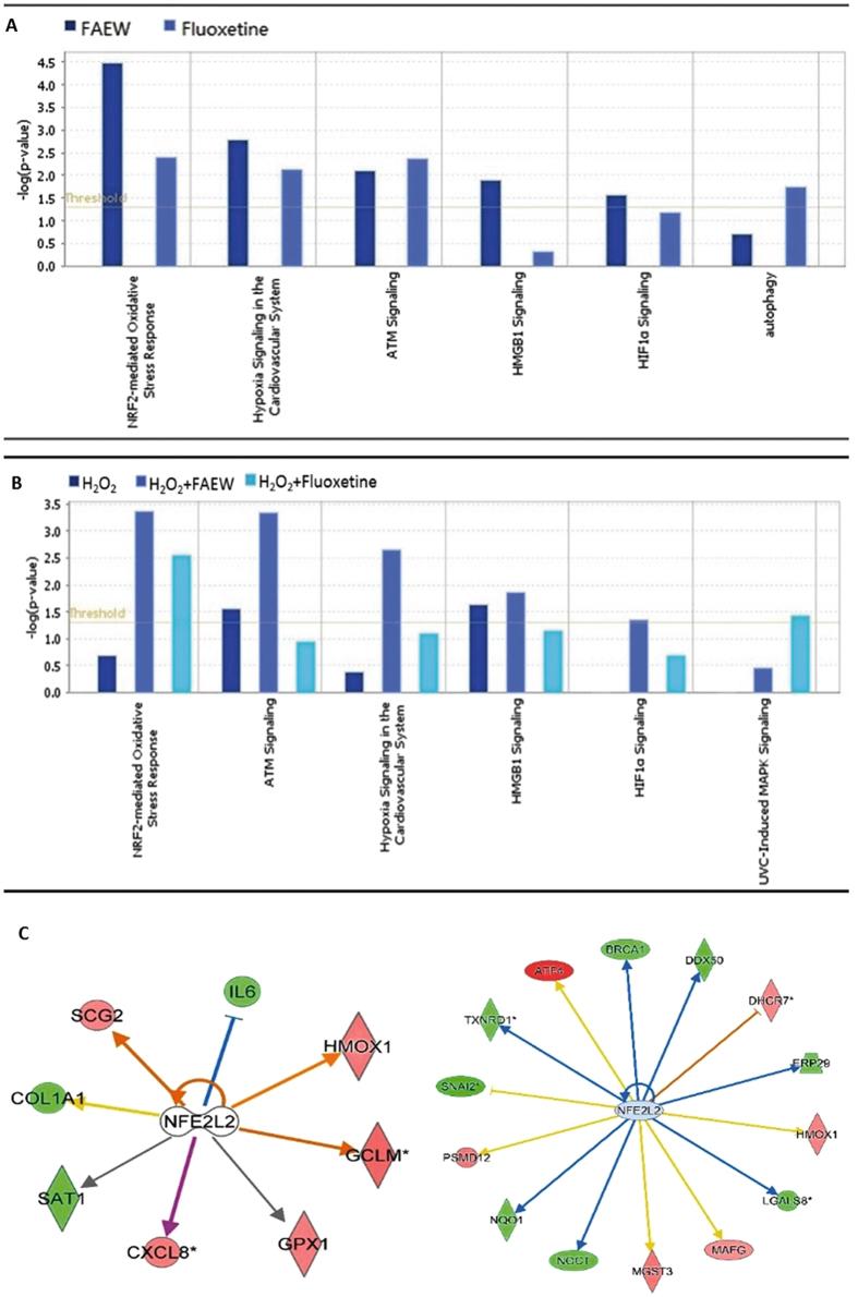 https://cdn.ncbi.nlm.nih.gov/pmc/blobs/032b/5599498/d74d975d9140/41598_2017_10443_Fig3_HTML.jpg