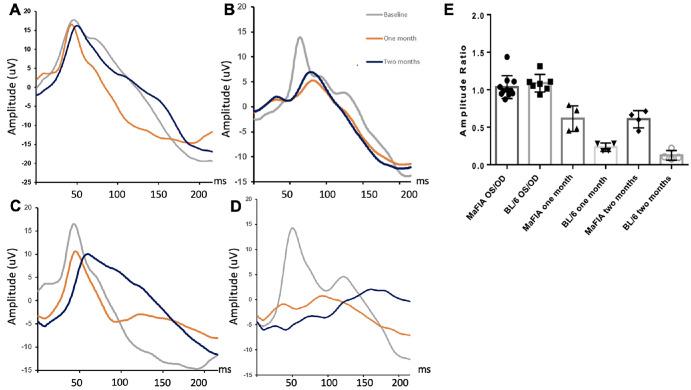 https://cdn.ncbi.nlm.nih.gov/pmc/blobs/032d/11328886/c1e942b65c2c/iovs-65-10-22-f006.jpg