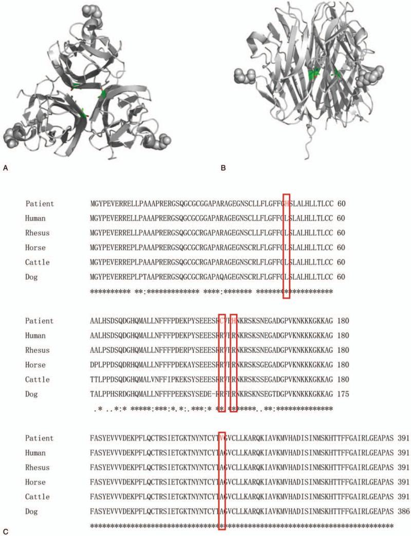 https://cdn.ncbi.nlm.nih.gov/pmc/blobs/032f/7220389/f8244cedc611/medi-99-e19244-g003.jpg
