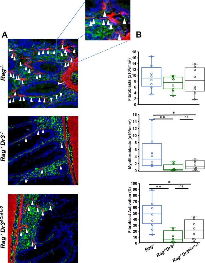 https://cdn.ncbi.nlm.nih.gov/pmc/blobs/032f/7584589/183a2ebaca69/41598_2020_75168_Fig3_HTML.jpg