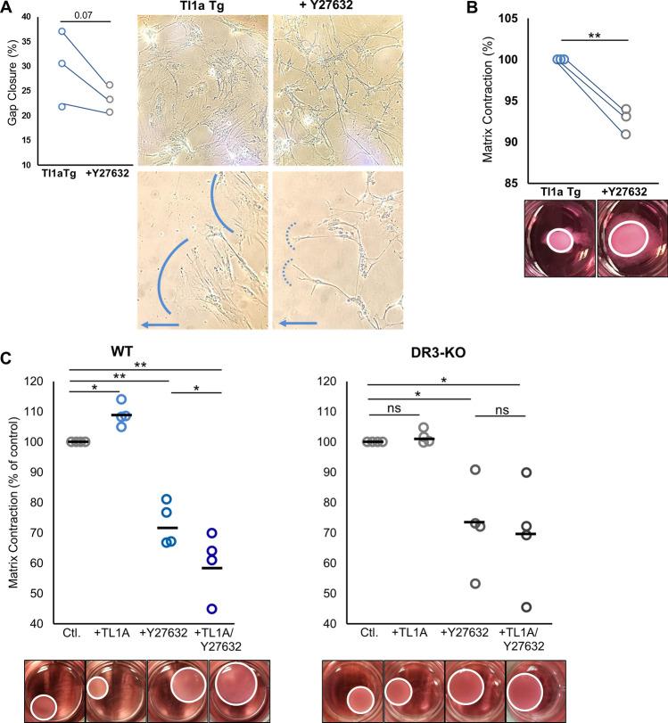 https://cdn.ncbi.nlm.nih.gov/pmc/blobs/032f/7584589/bf1847966676/41598_2020_75168_Fig6_HTML.jpg