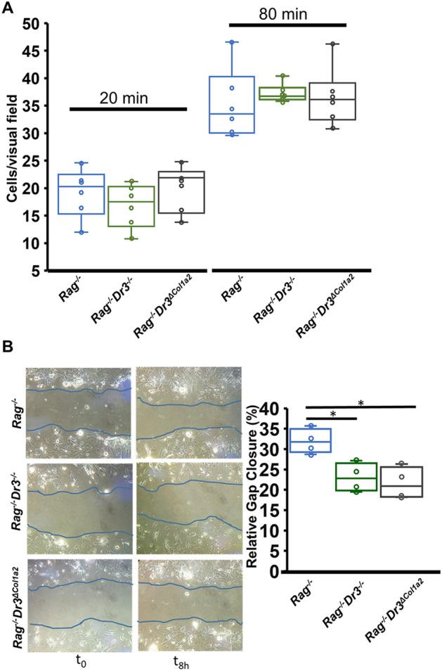 https://cdn.ncbi.nlm.nih.gov/pmc/blobs/032f/7584589/dca80184a44e/41598_2020_75168_Fig4_HTML.jpg