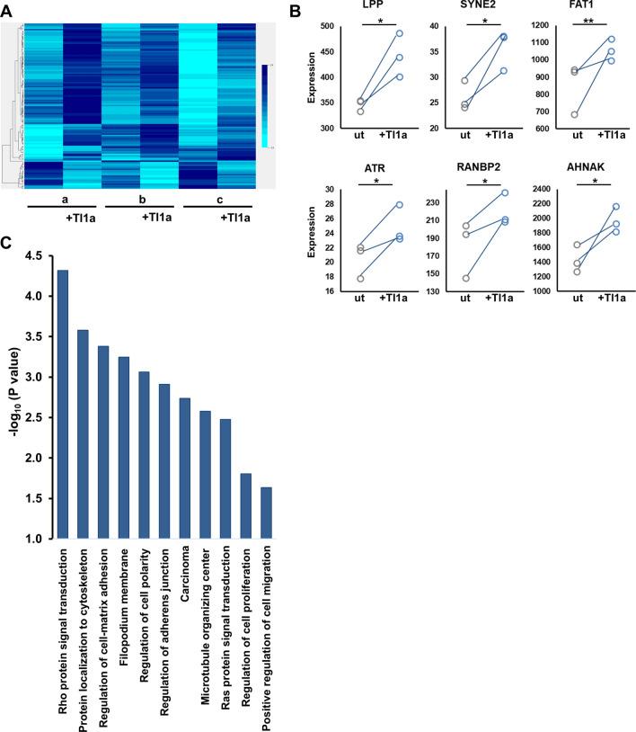 https://cdn.ncbi.nlm.nih.gov/pmc/blobs/032f/7584589/eede2b69eaa1/41598_2020_75168_Fig5_HTML.jpg
