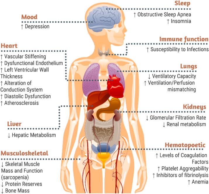 https://cdn.ncbi.nlm.nih.gov/pmc/blobs/0332/11202959/63cc19ef8e96/gr2.jpg