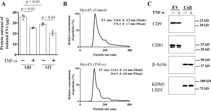 https://cdn.ncbi.nlm.nih.gov/pmc/blobs/0333/9795943/00eb8c086b03/223_2022_1056_Fig3_HTML.jpg