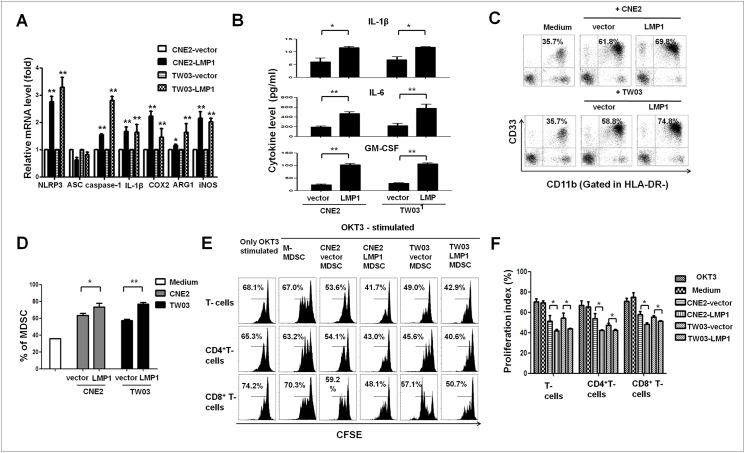 https://cdn.ncbi.nlm.nih.gov/pmc/blobs/0337/5540616/3039bacd6903/ppat.1006503.g003.jpg